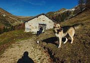 MONTE ARETE (2227 m.), sudato, ma comunque goduto, da Cambrembo di Valleve il 17 novembre 2012  - FOTOGALLERY